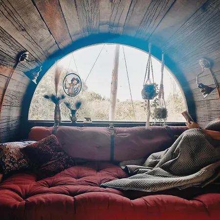 Tiny Wineyhouse No 1 Zennewijnen