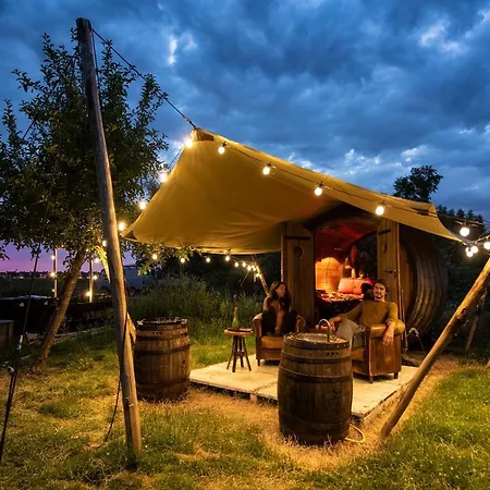 Slapen Tussen De Schapen In Tiny Wineyhouse *