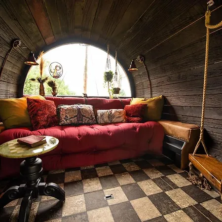 Camping Slapen Tussen De Schapen In Tiny Wineyhouse Zennewijnen