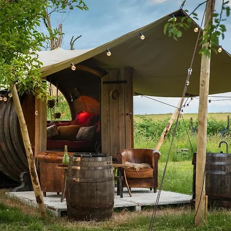 Slapen Tussen De Schapen In Tiny Wineyhouse Camping *