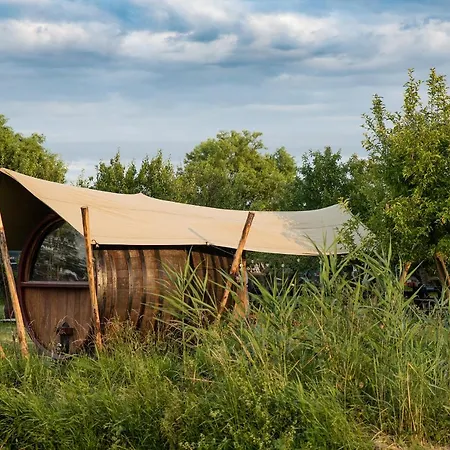 Tiny Wineyhouse No 1 Campsite