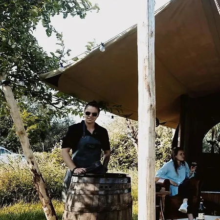 Tiny Wineyhouse No 1 *