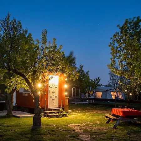 Slapen Tussen De Schapen In Tiny Wineyhouse * Zennewijnen