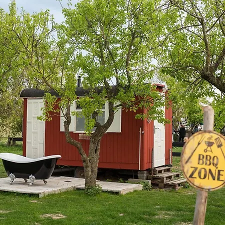 Slapen Tussen De Schapen In Tiny Wineyhouse