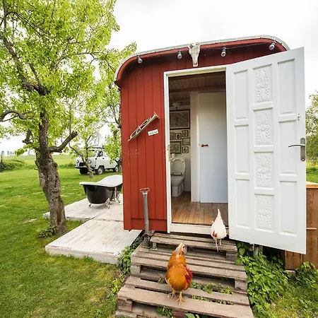 Slapen Tussen De Schapen In Tiny Wineyhouse Camping *