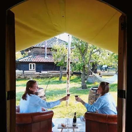 Slapen Tussen De Schapen In Tiny Wineyhouse Camping *