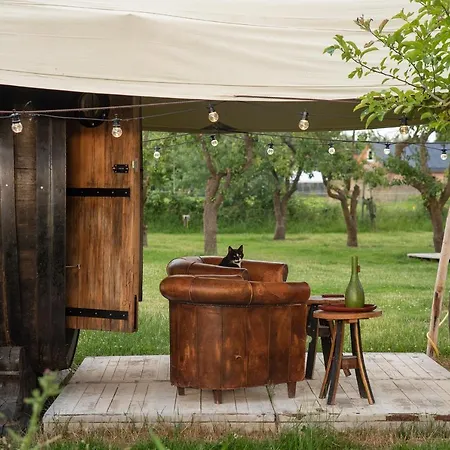 Slapen Tussen De Schapen In Tiny Wineyhouse Zennewijnen