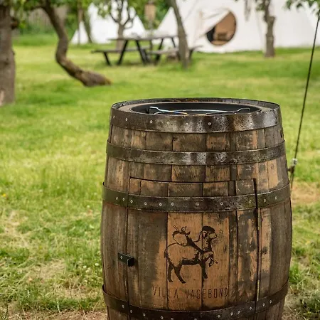 Camping Slapen Tussen De Schapen In Tiny Wineyhouse *