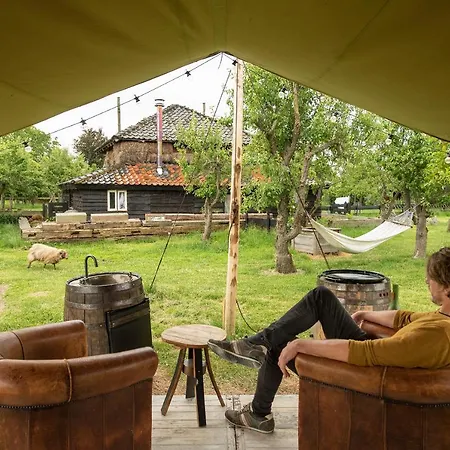 Slapen Tussen De Schapen In Tiny Wineyhouse * Zennewijnen