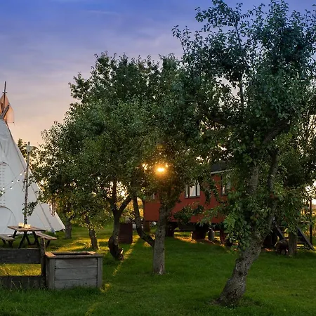 Camping Slapen Tussen De Schapen In Tiny Wineyhouse