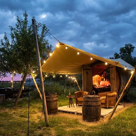 Slapen Tussen De Schapen In Tiny Wineyhouse Zennewijnen