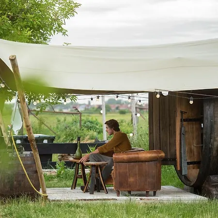 Slapen Tussen De Schapen In Tiny Wineyhouse Camping Zennewijnen