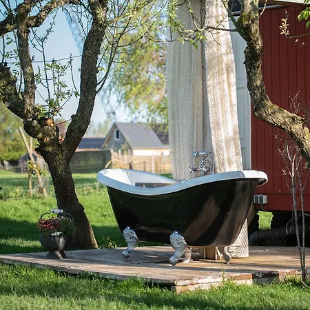 Camping Slapen Tussen De Schapen In Tiny Wineyhouse *