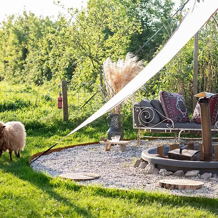 Slapen Tussen De Schapen In Tiny Wineyhouse Zennewijnen