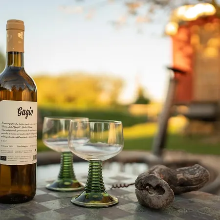 Tiny Wineyhouse No 1 Parque de Campismo