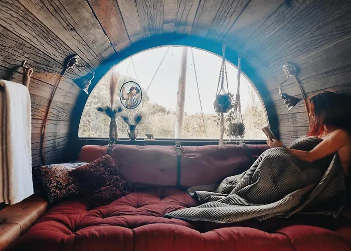 Tiny Wineyhouse No 1 Zennewijnen