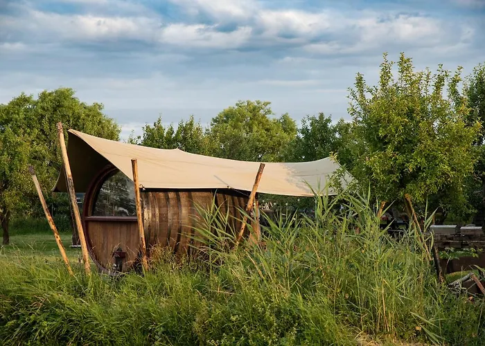 Tiny Wineyhouse No 1 Camping