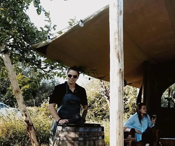 Tiny Wineyhouse No 1 *