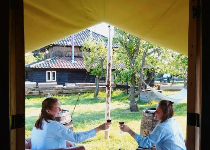 Tiny Wineyhouse No 1 Camping *