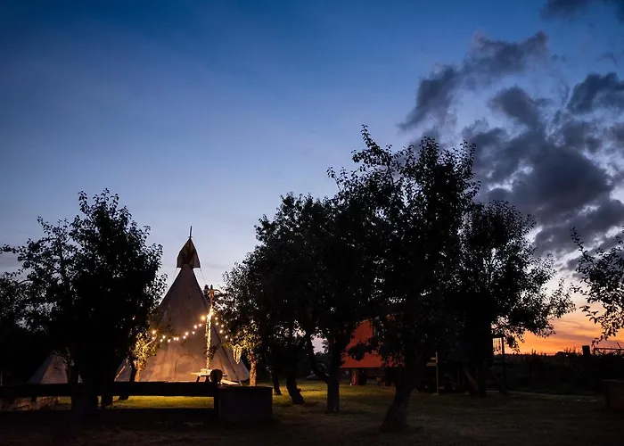 Tiny Wineyhouse No 1 *