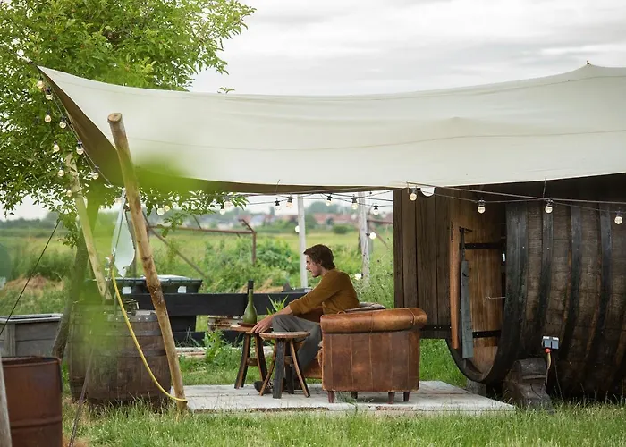 Tiny Wineyhouse No 1 Camping Zennewijnen