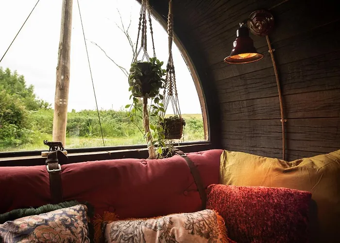 Tiny Wineyhouse No 1 Zennewijnen