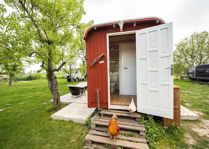 Tiny Wineyhouse No 1 Kemp *