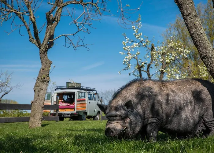 Tiny Wineyhouse No 1