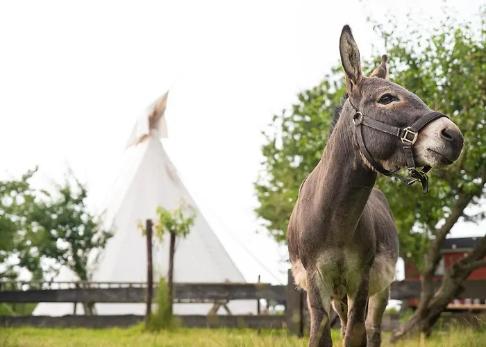 Tiny Wineyhouse No 1 *