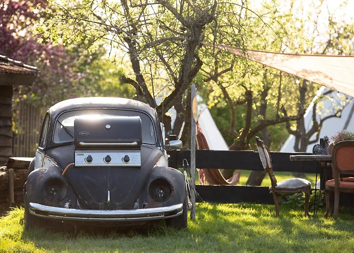 Tiny Wineyhouse No 1 Kemp *